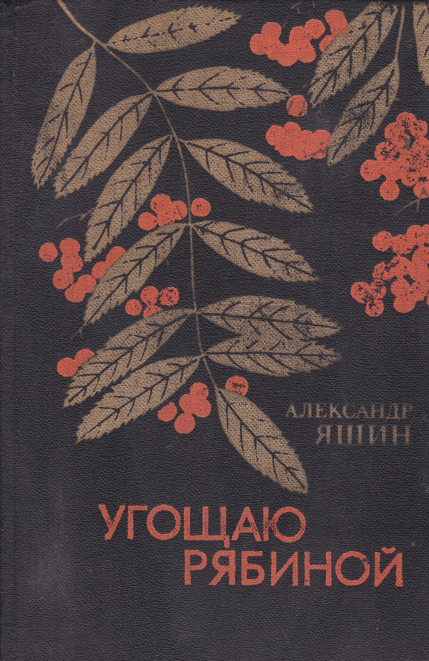 27 марта - 110 лет со дня рождения Александра Яшина - Пинская городская  центральная библиотека