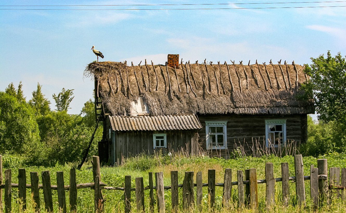 Деревни районы белоруссии. Кудричи на Полесье. Деревни в Полесье Беларусь. Кудричи деревня Пинского района. Белорусская веска.